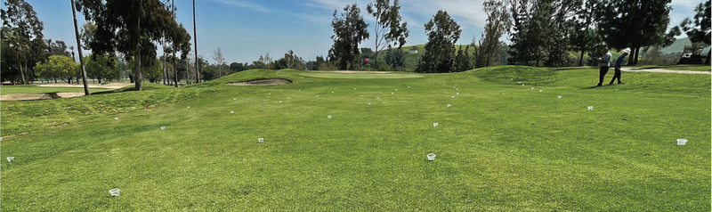 Smarter Water Use: How Golf Courses in New Zealand Can Maximise Water Conservation Through Better Irrigation Maintenance