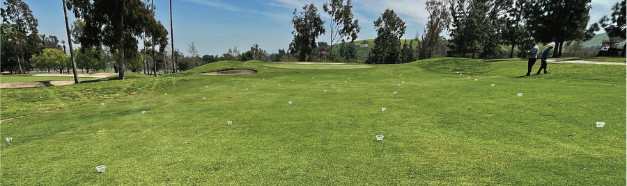 Smarter Water Use: How Golf Courses in New Zealand Can Maximise Water Conservation Through Better Irrigation Maintenance
