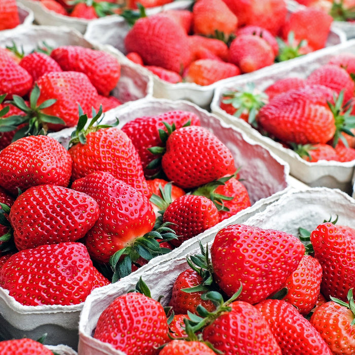 Case Study: Perry's Berry's Optimises Strawberry Production with Precision Irrigation