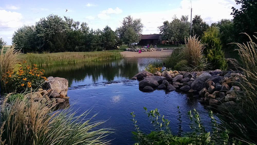 Pond Treatment