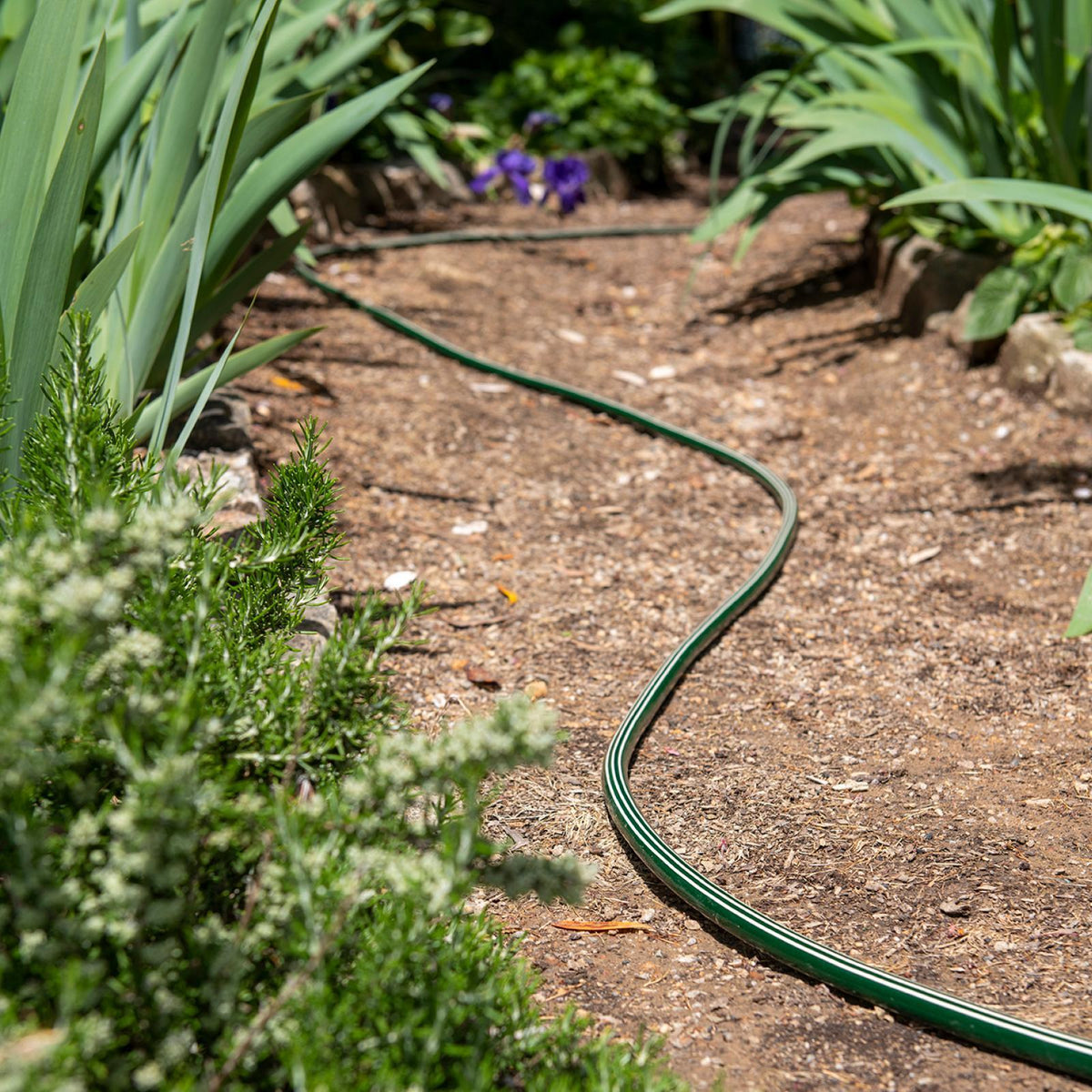 Pope Legacy Heavy Duty Garden Hose (12mm) | 100m | Unfitted