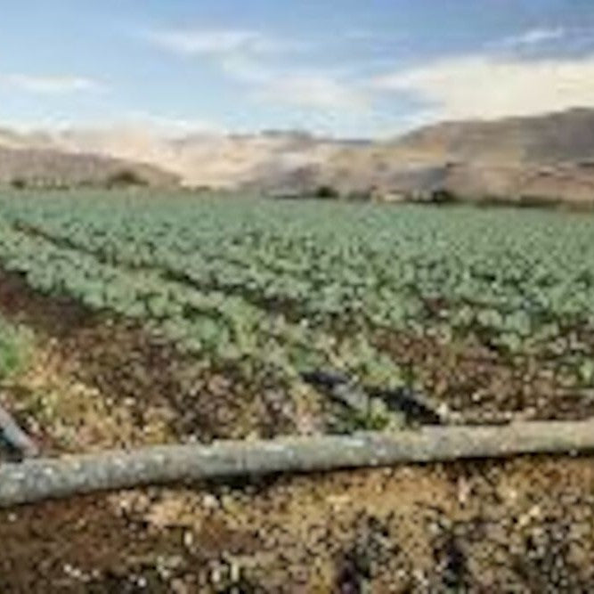 Greater filtration area