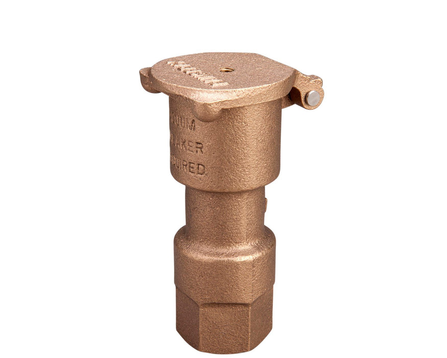25mm Brass Quick Coupling Valve