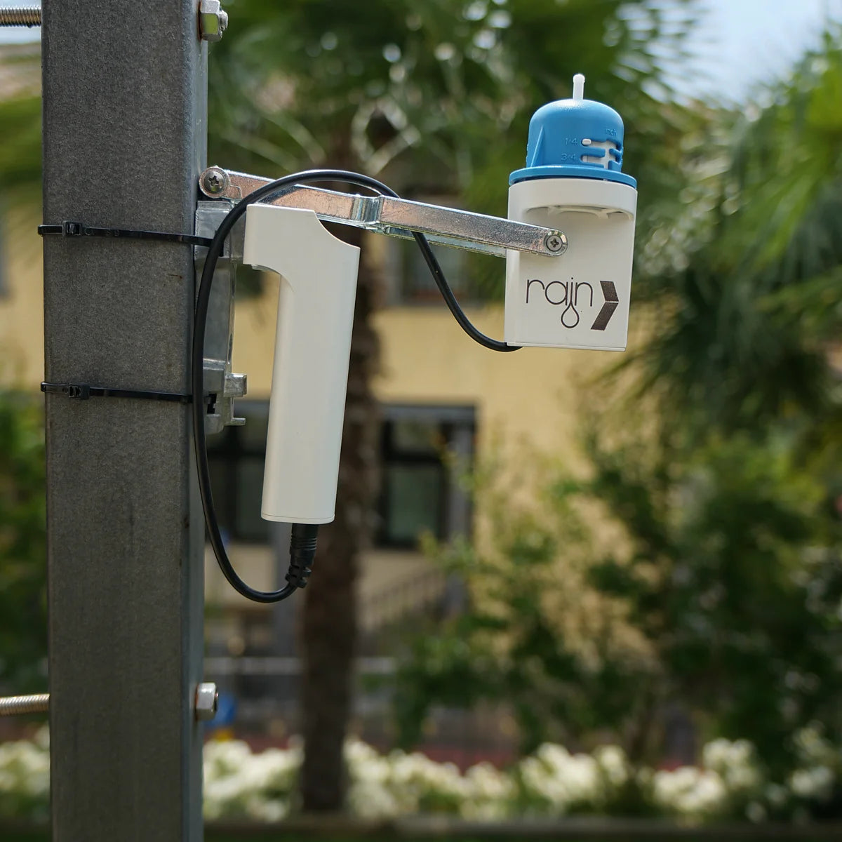 Rain Acqua Vision Rain Sensor