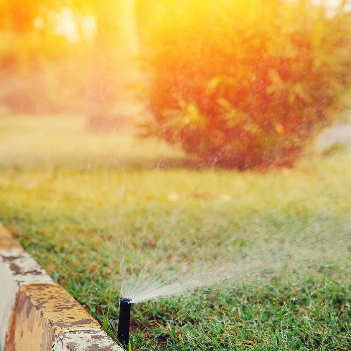 Rain S020 PRO Irrigation Pop up Sprinkler (Body Only)