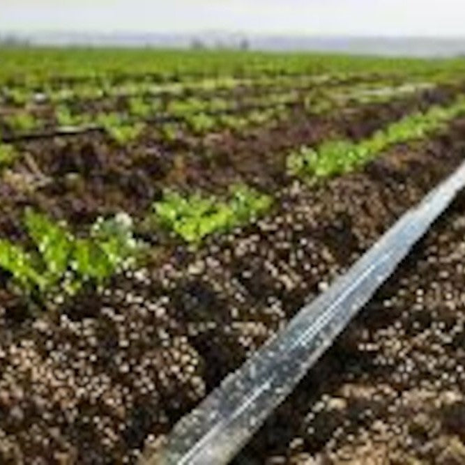 Optimized flow passages