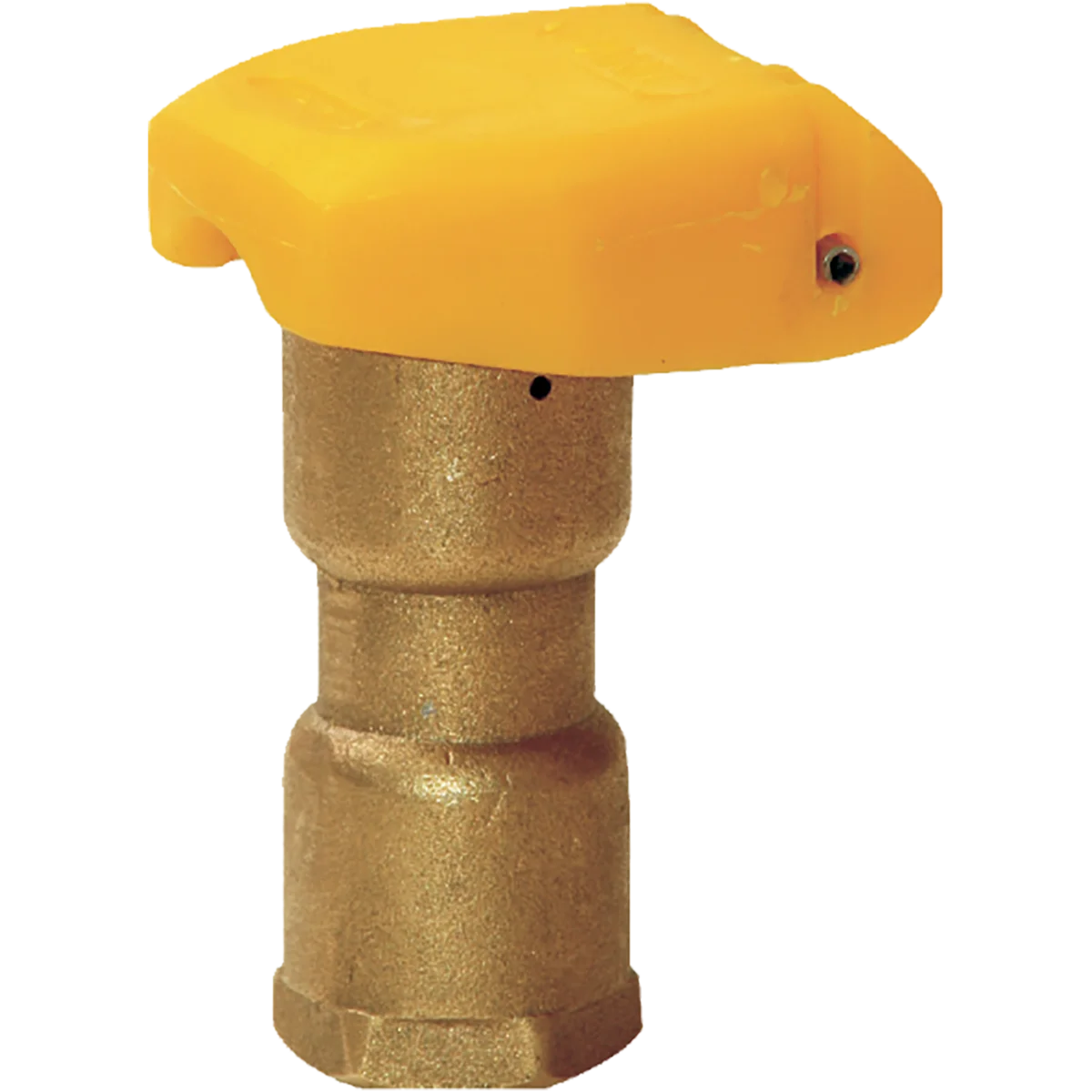 Rain Quick Coupling Valve Bronze 25mm (1" BSPF)  x 20mm (3/4" Outlet)