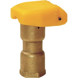 Rain Quick Coupling Valve Bronze 25mm (1" BSPF)  x 20mm (3/4" Outlet)