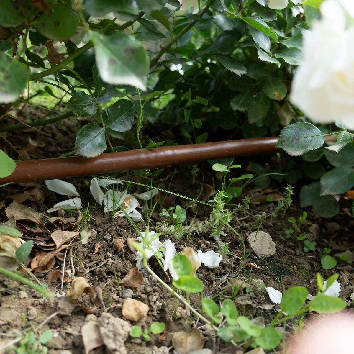 Rain BROWN Self Compensating Dripline 16mm