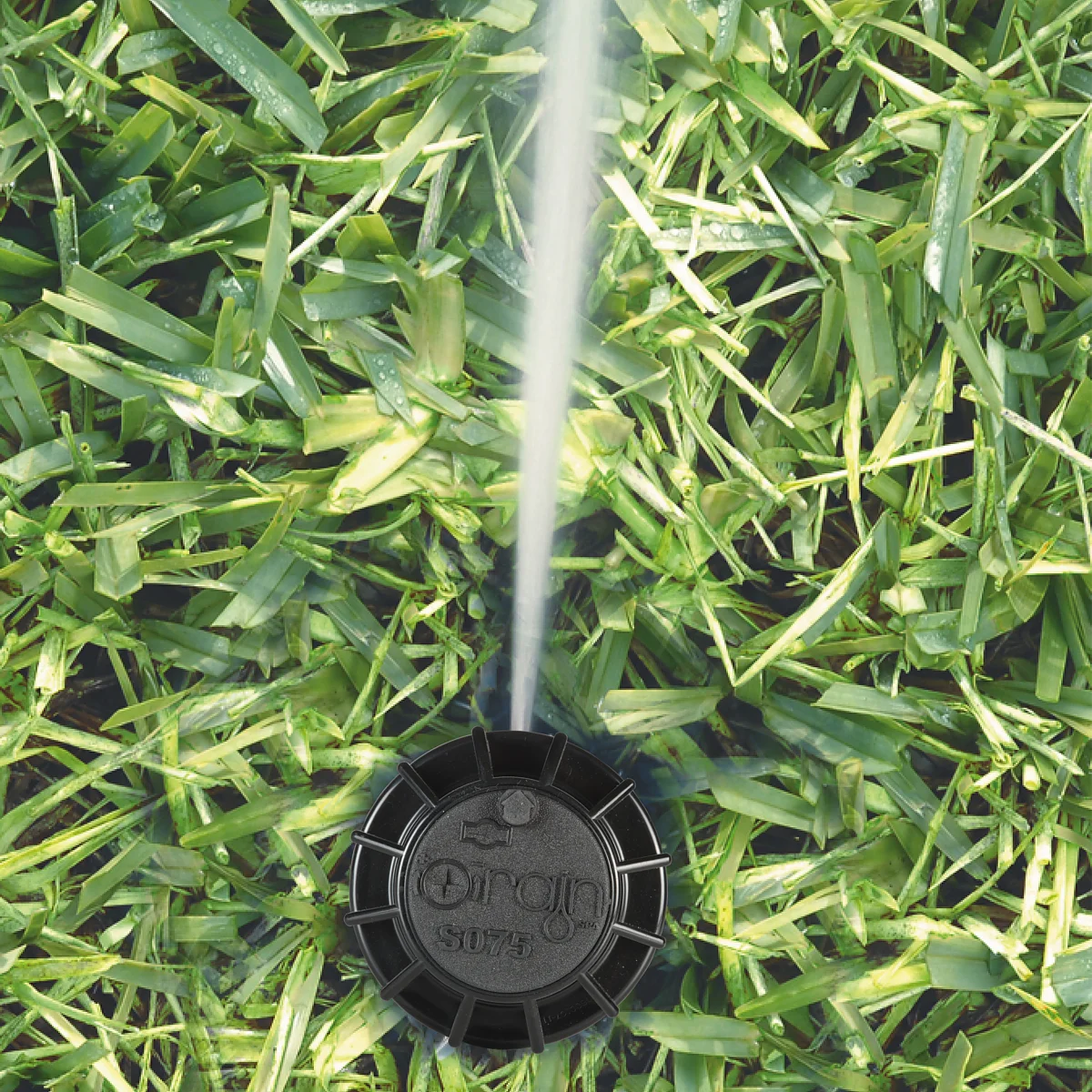 Rain S075 Pop up Rotor Irrigation Sprinkler