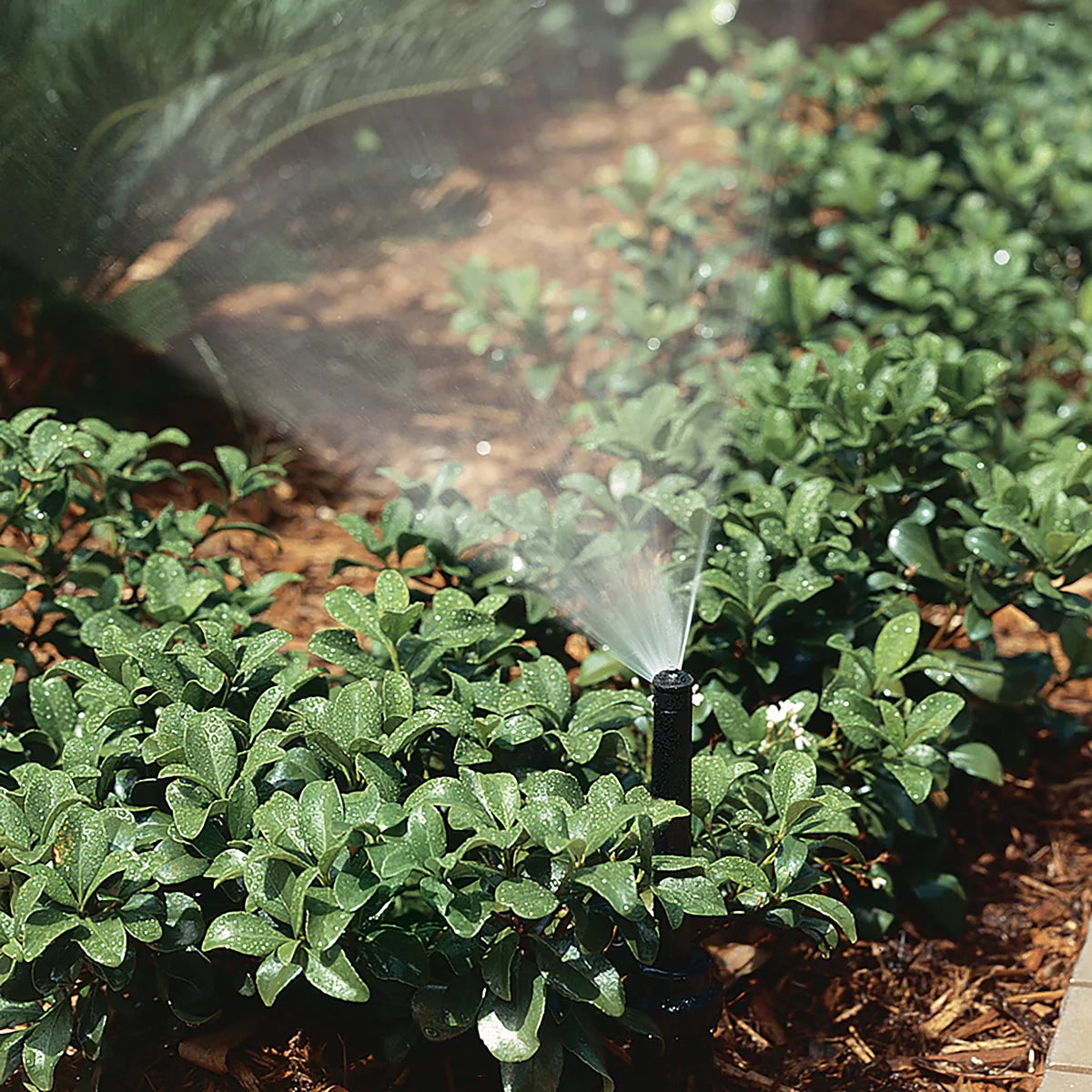 Rain S030 Irrigation Pop up Sprinkler (Body Only)