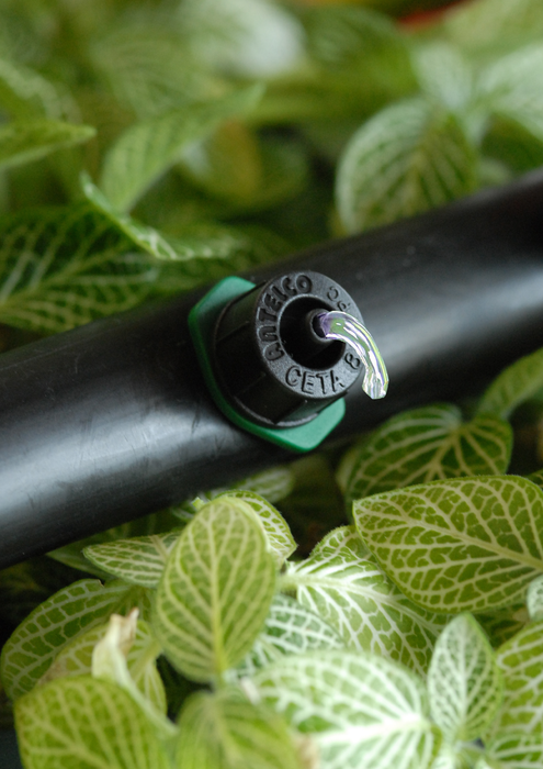 Antelco Ceta® Pressure Compensating Emitter | Spout Output