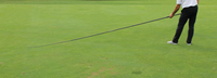 Standard Golf Du-Whipper