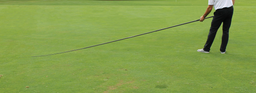 Standard Golf Du-Whipper