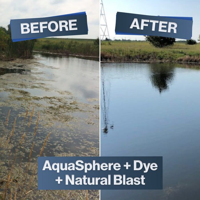 Natural Blast® Microbial Pond Treatment