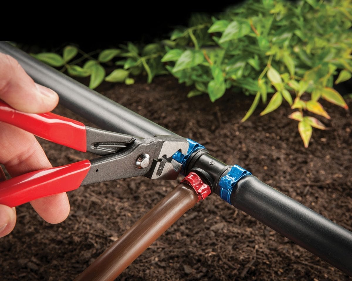 Toro Hippo Clamp Stainless Steel