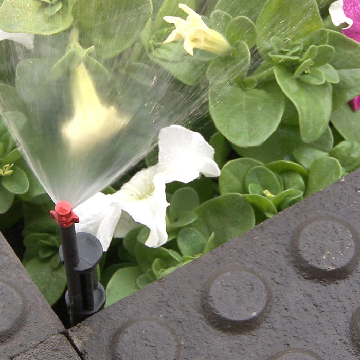 Antelco Winged™ Spray Jet