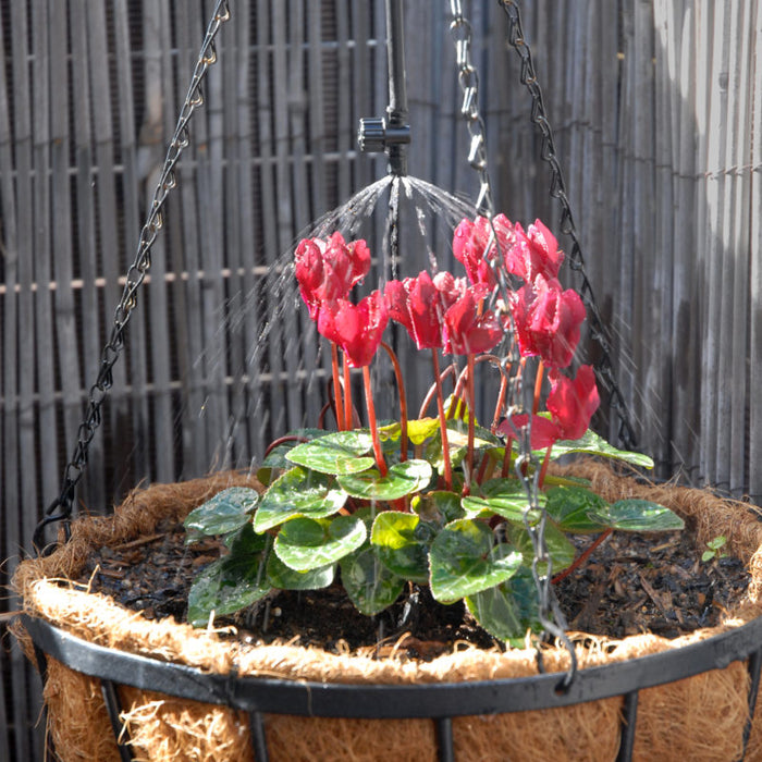 Antelco Vari-Jets | 1PC